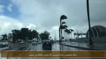 توقعات حالة الطقس في مصر غدًا الخميس التاسع عشر من مارس